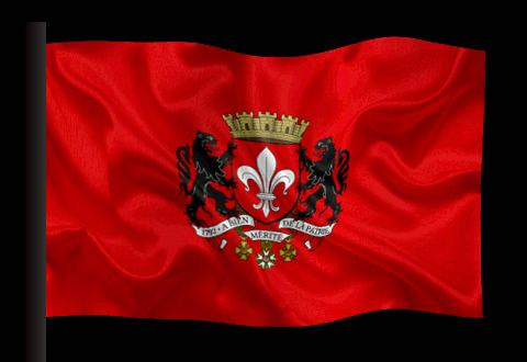 flanders flag